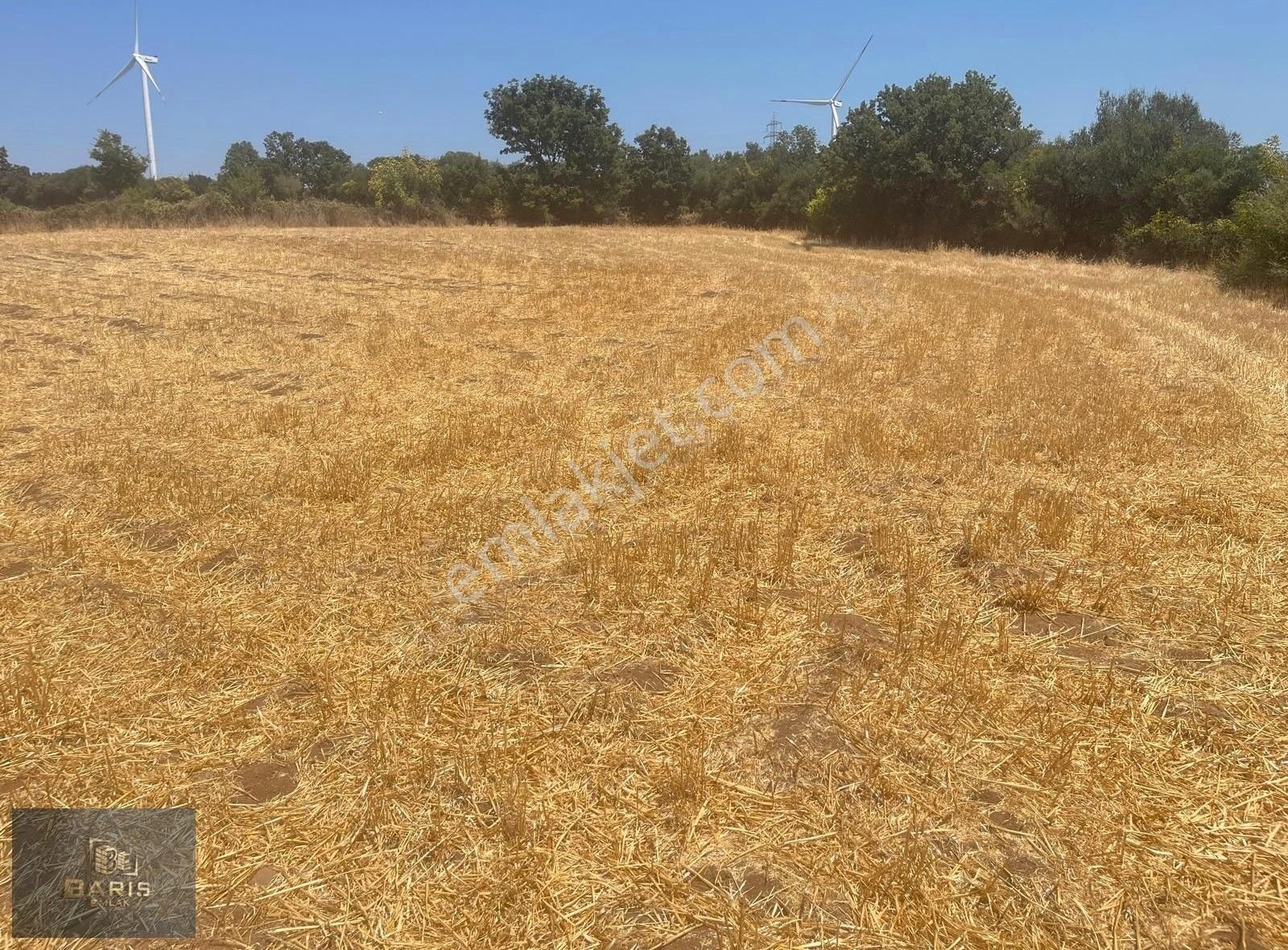 Çanakkale Bayramiç Bıyıklı Köyünde Satılık Tarla - Görsel 15