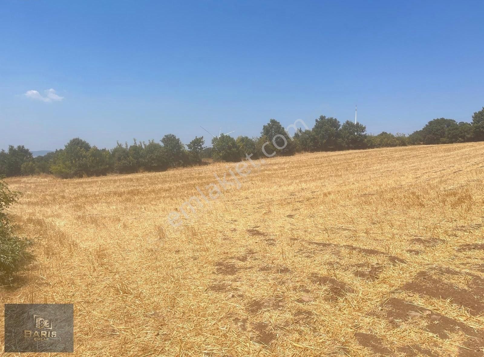 Çanakkale Bayramiç Bıyıklı Köyünde Satılık Tarla - Görsel 6