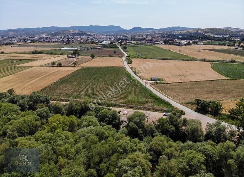 Çanakkale Ezine Merkeze Çok Yakın Satılık Emsalsiz Tarla - Görsel 28