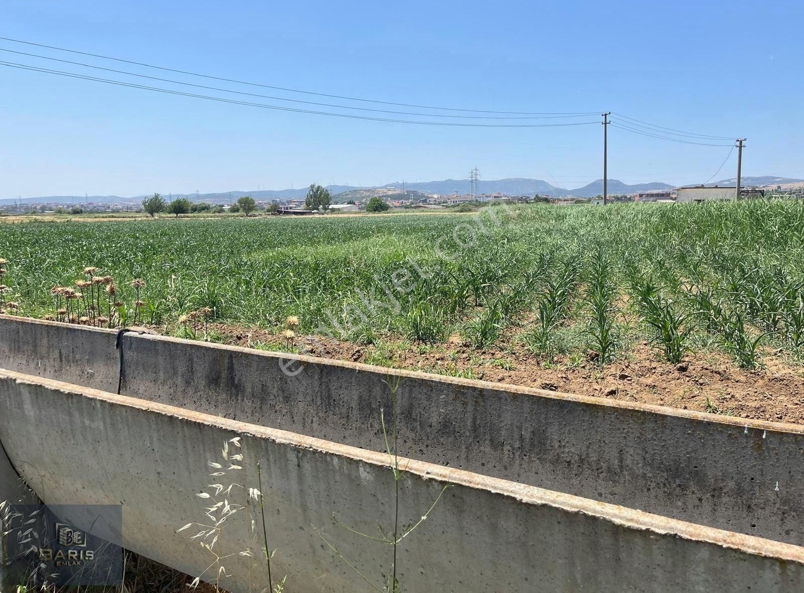 Çanakkale Ezine Merkeze Çok Yakın Satılık Emsalsiz Tarla - Görsel 7