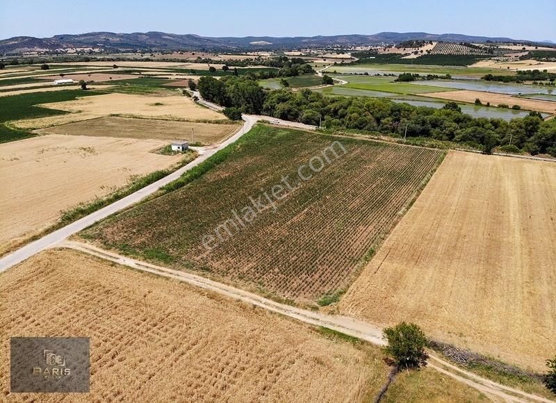 Çanakkale Ezine Merkeze Çok Yakın Satılık Emsalsiz Tarla - Görsel 15