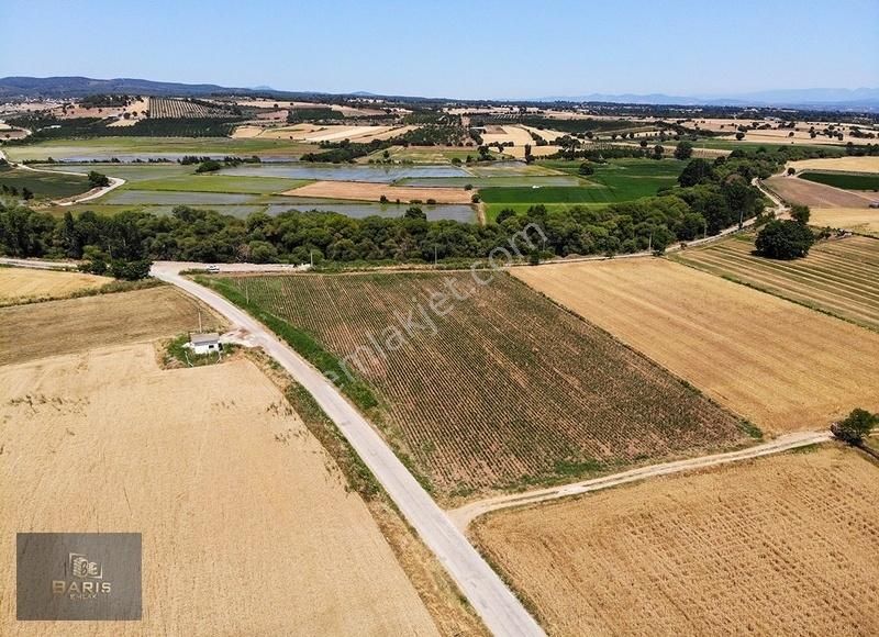 Çanakkale Ezine Merkeze Çok Yakın Satılık Emsalsiz Tarla - Görsel 22