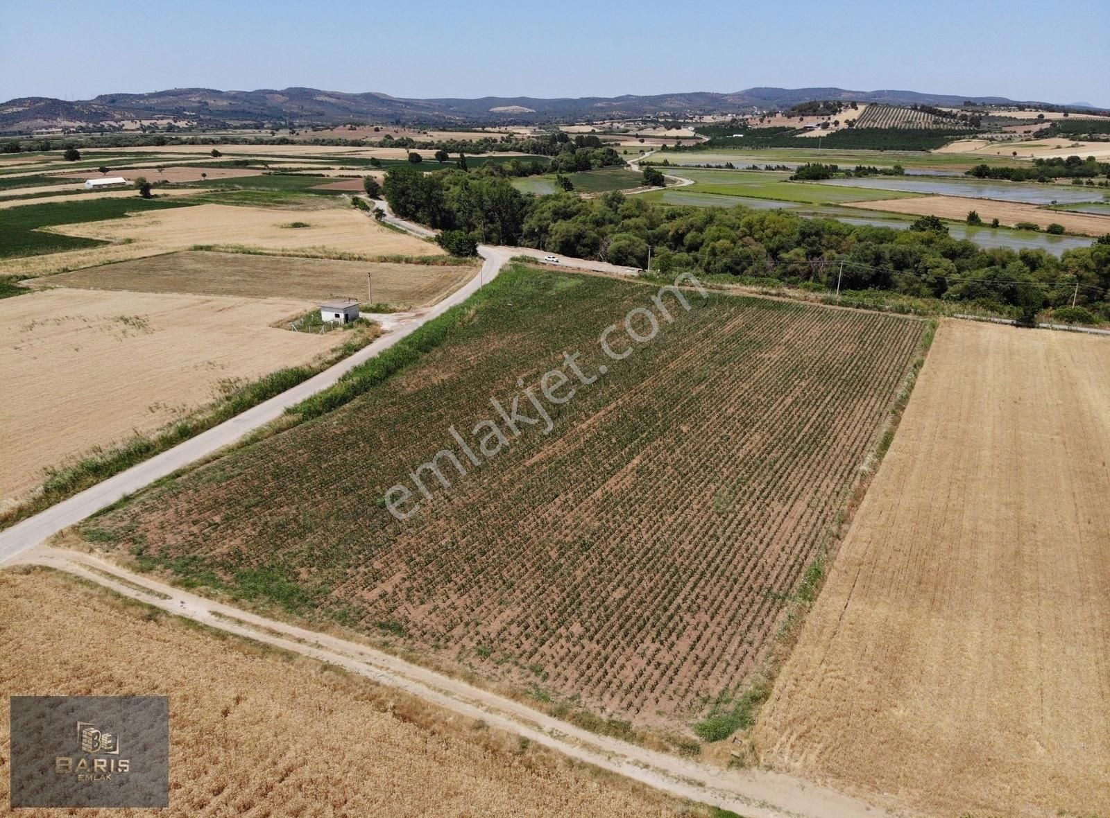 Çanakkale Ezine Merkeze Çok Yakın Satılık Emsalsiz Tarla - Görsel 27