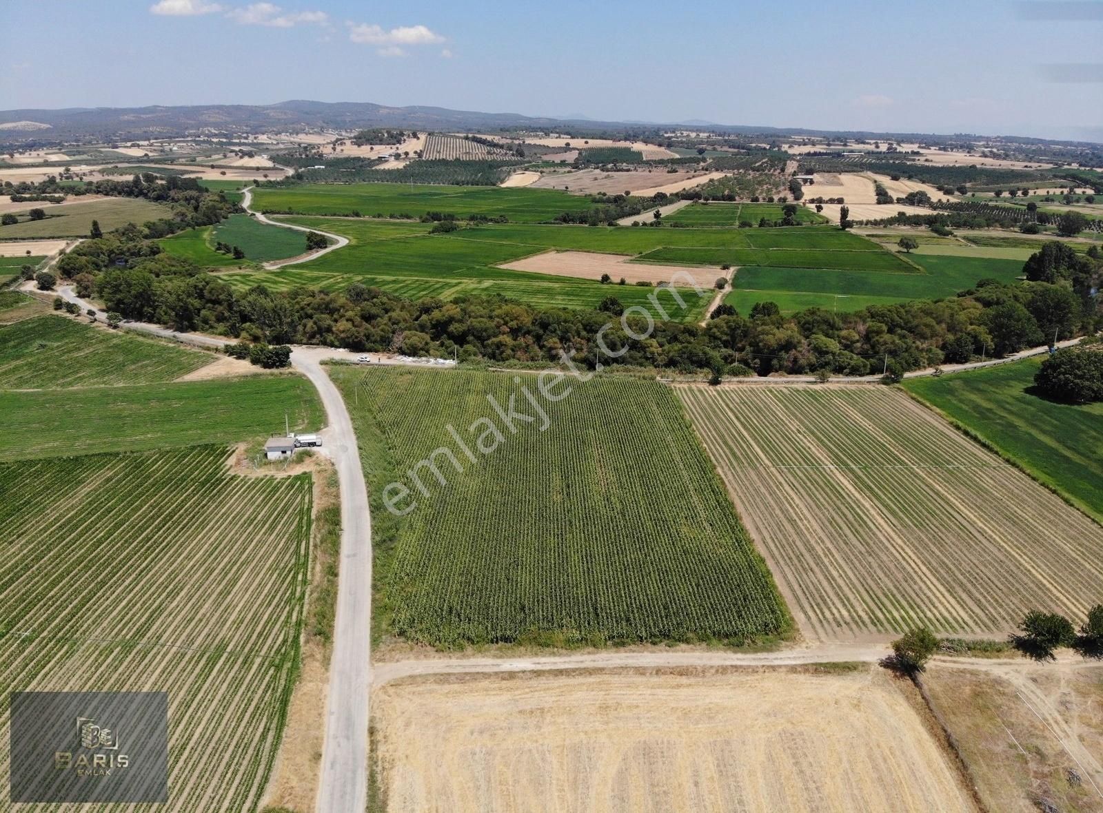 Çanakkale Ezine Merkeze Çok Yakın Satılık Emsalsiz Tarla - Görsel 13