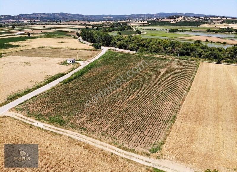 Çanakkale Ezine Merkeze Çok Yakın Satılık Emsalsiz Tarla - Görsel 25