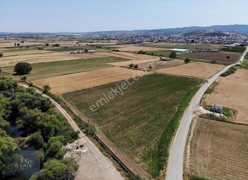Çanakkale Ezine Merkeze Çok Yakın Satılık Emsalsiz Tarla - Görsel 23