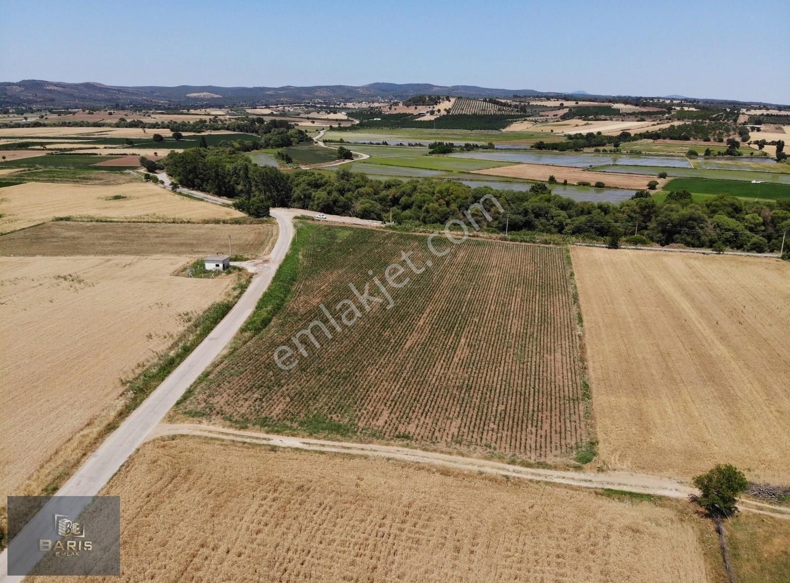 Çanakkale Ezine Merkeze Çok Yakın Satılık Emsalsiz Tarla - Görsel 5