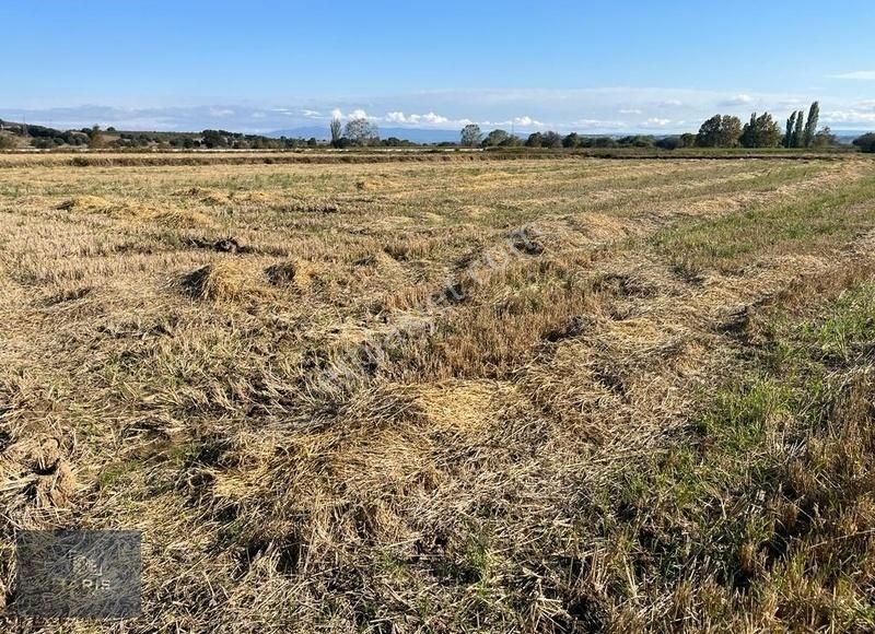 Çanakkale Ezine Merkeze Yakın Asfalt Cephe Satılık Tarla - Görsel 17