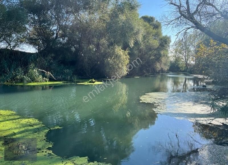 Çanakkale Ezine Merkeze Yakın Asfalt Cephe Satılık Tarla - Görsel 13