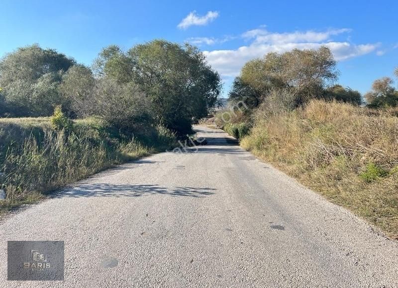 Çanakkale Ezine Merkeze Yakın Asfalt Cephe Satılık Tarla - Görsel 3