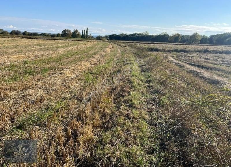 Çanakkale Ezine Merkeze Yakın Asfalt Cephe Satılık Tarla - Görsel 4