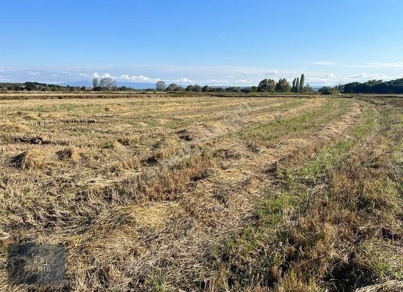 Çanakkale Ezine Merkeze Yakın Asfalt Cephe Satılık Tarla - Görsel 11