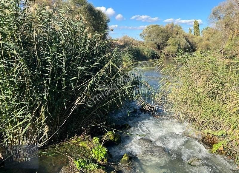 Çanakkale Ezine Merkeze Yakın Asfalt Cephe Satılık Tarla - Görsel 20