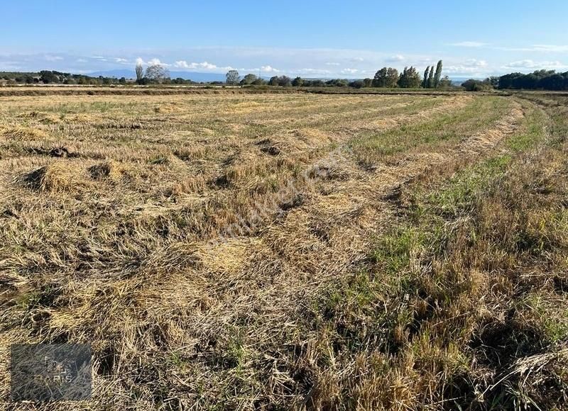 Çanakkale Ezine Merkeze Yakın Asfalt Cephe Satılık Tarla - Görsel 10