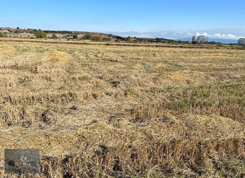 Çanakkale Ezine Merkeze Yakın Asfalt Cephe Satılık Tarla - Görsel 24