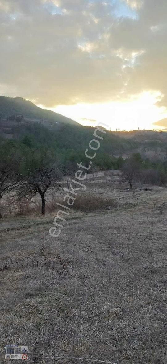 Asvalt Cepe Kelepir Arsa