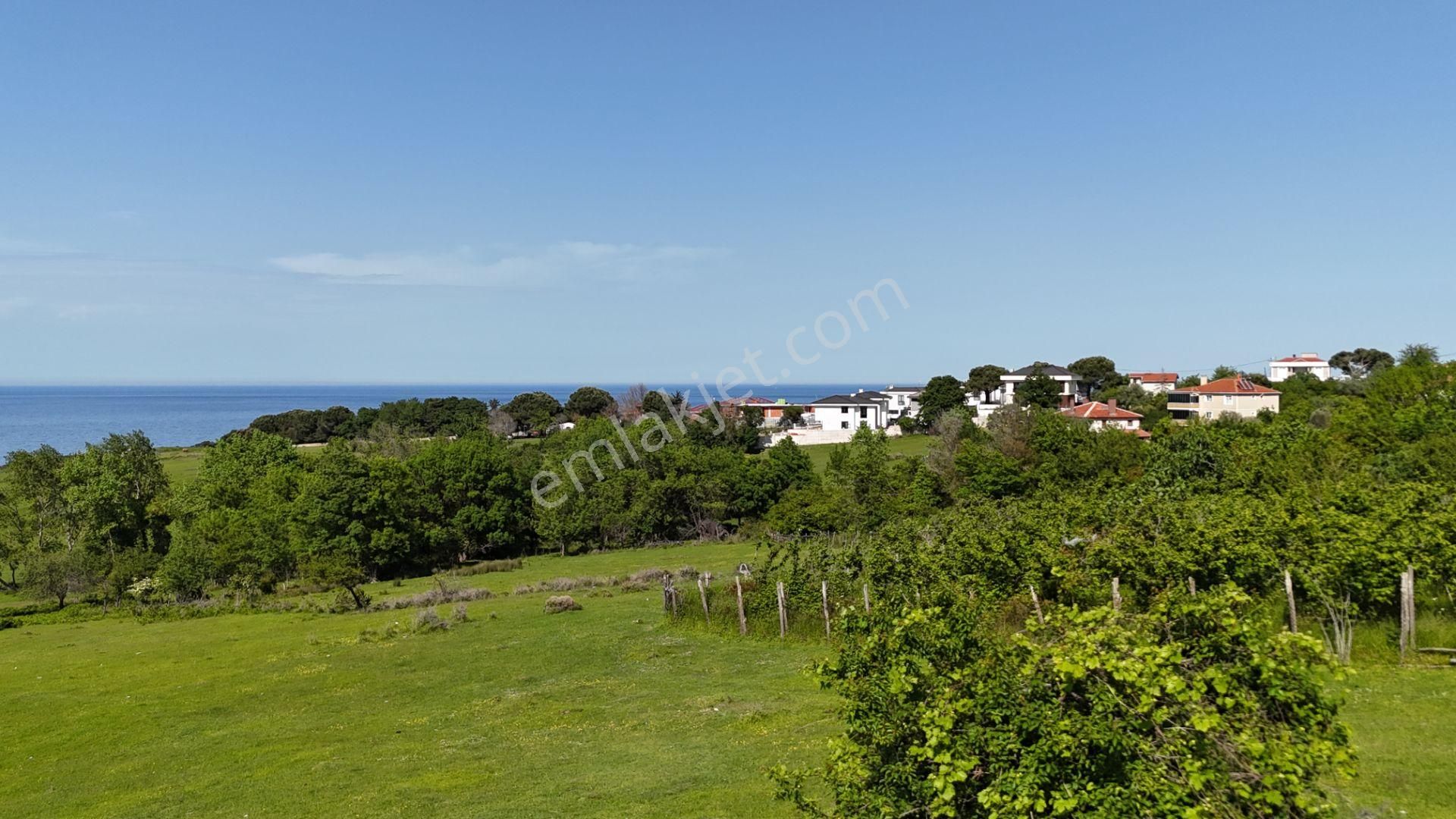 Şile Karacaköy Mah. 980 M2 %30 Villa İmarlı Arsa - Görsel 16