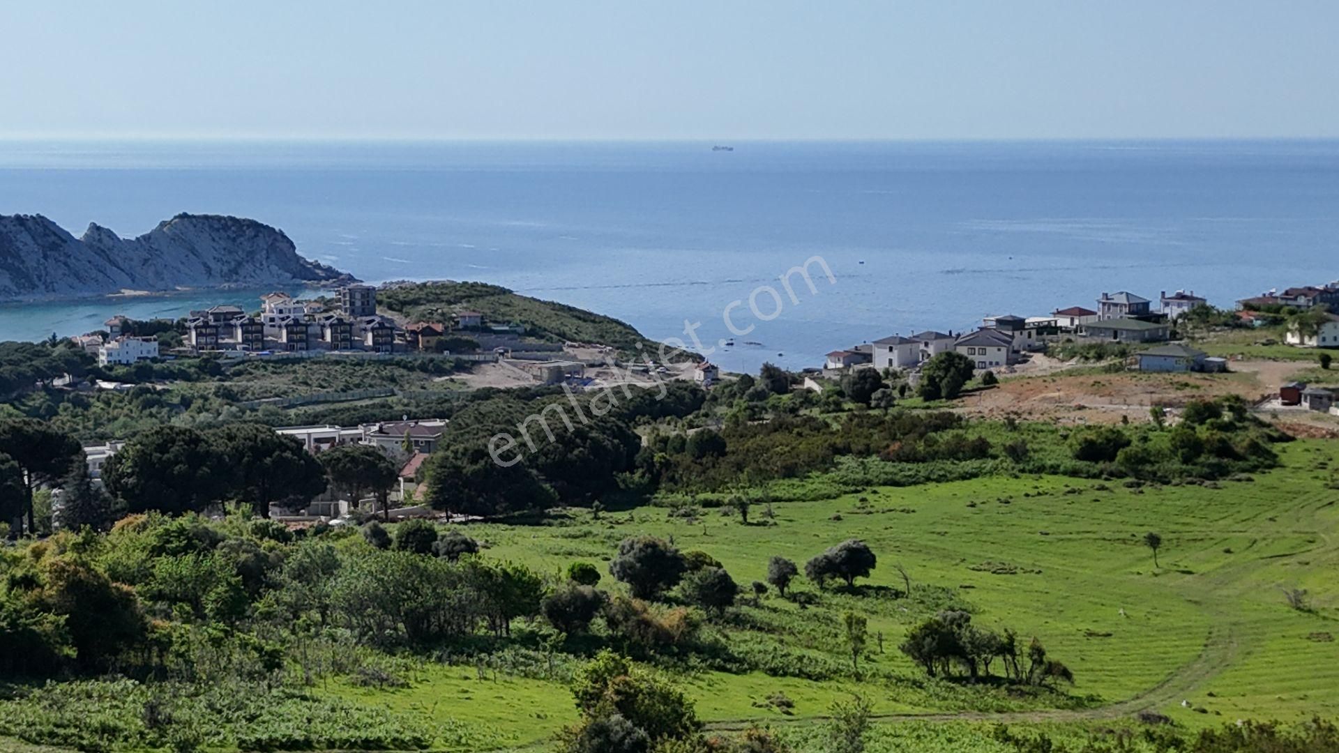 Şile Karacaköy Mah. 980 M2 %30 Villa İmarlı Arsa - Görsel 6