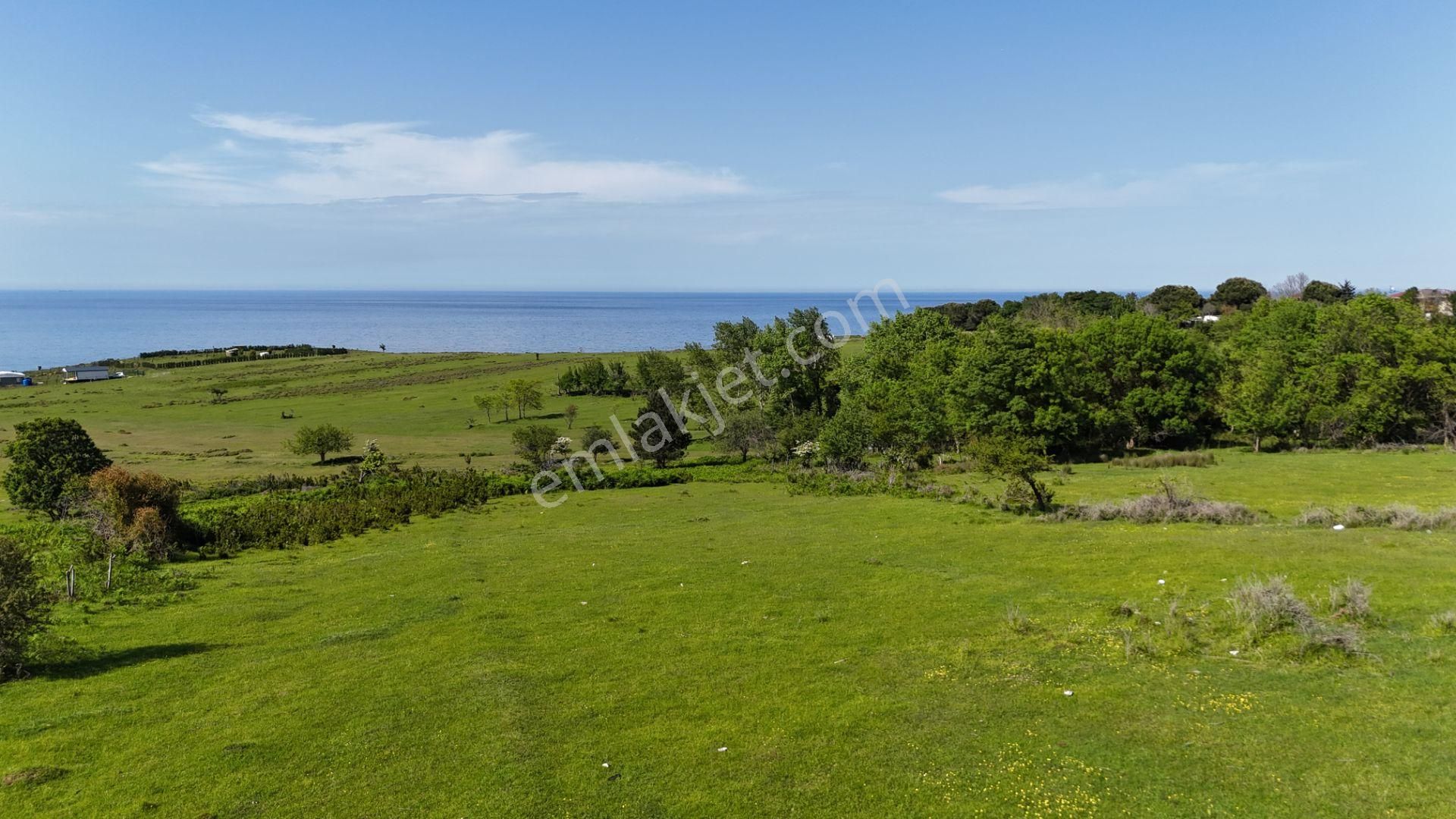 Şile Karacaköy Mah. 980 M2 %30 Villa İmarlı Arsa - Görsel 17