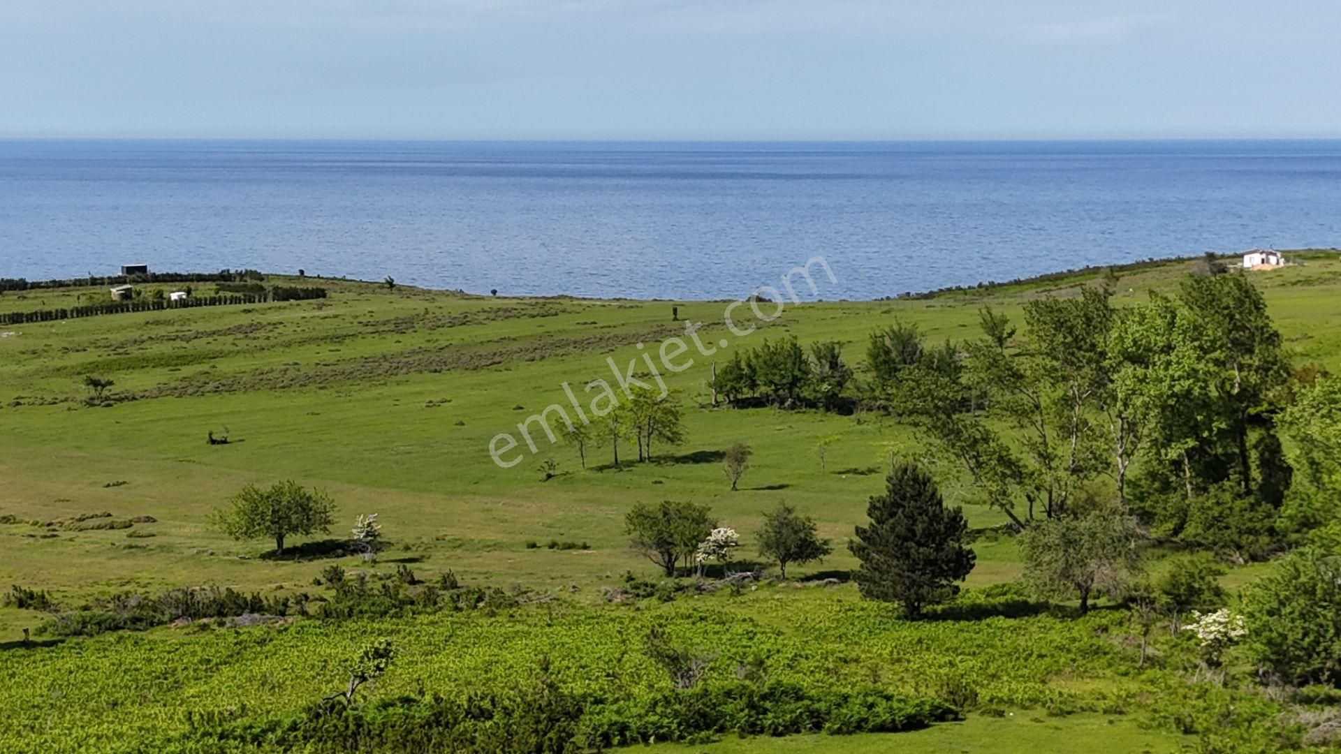 Şile Karacaköy Mah. 980 M2 %30 Villa İmarlı Arsa - Görsel 19