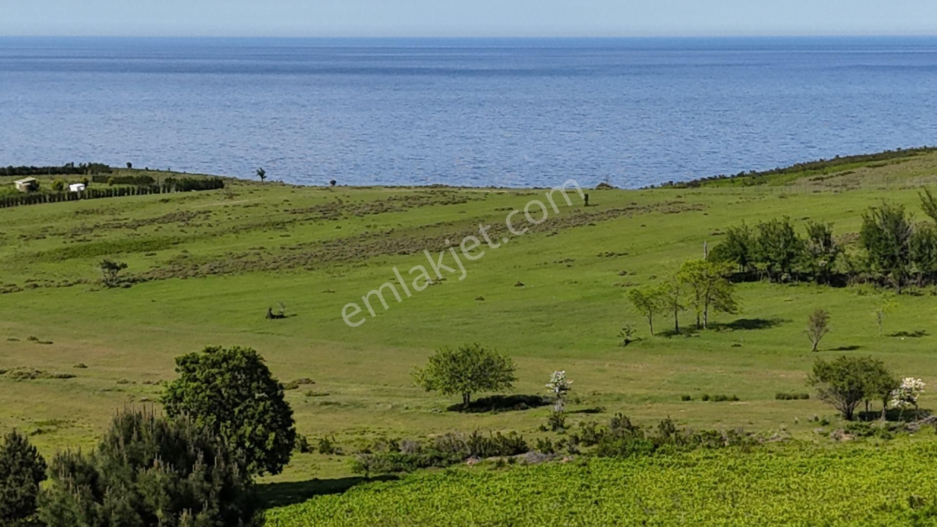 Şile Karacaköy Mah. 980 M2 %30 Villa İmarlı Arsa - Görsel 9