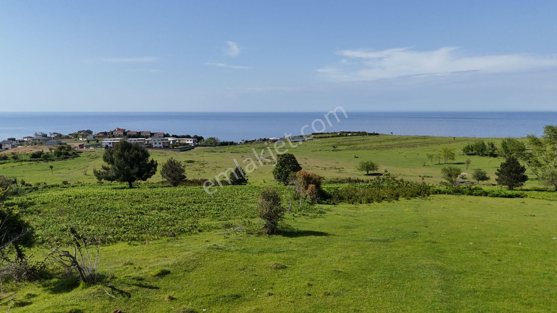 Şile Karacaköy Mah. 980 M2 %30 Villa İmarlı Arsa - Görsel 18