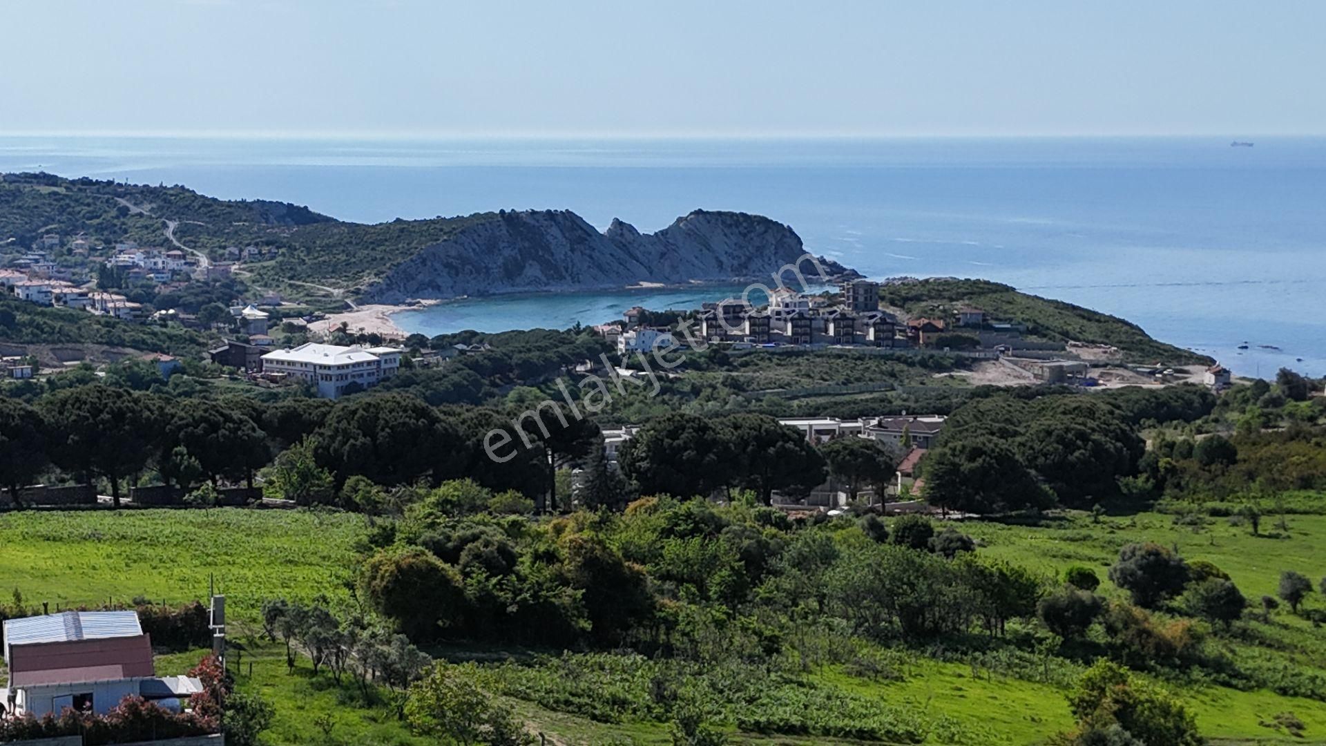 Şile Karacaköy Mah. 980 M2 %30 Villa İmarlı Arsa - Görsel 5