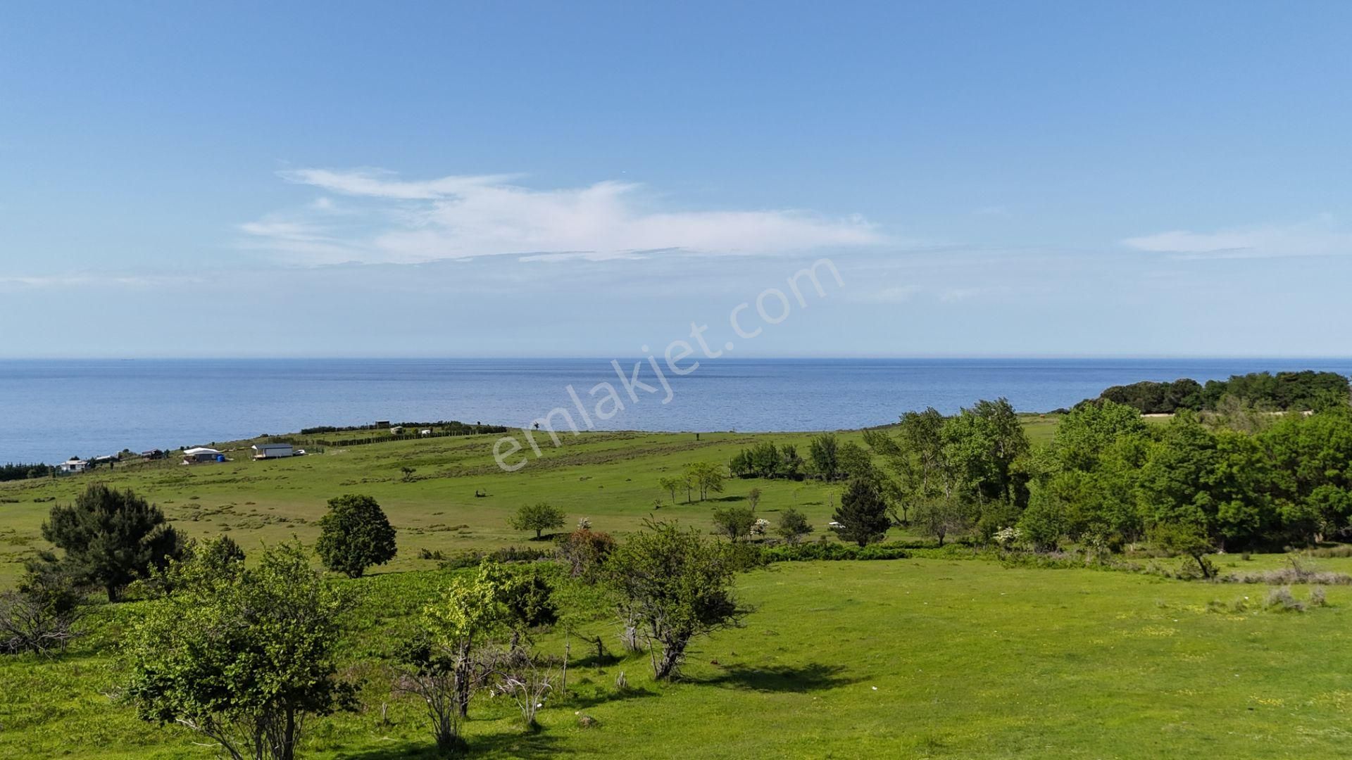 Şile Karacaköy Mah. 980 M2 %30 Villa İmarlı Arsa - Görsel 15