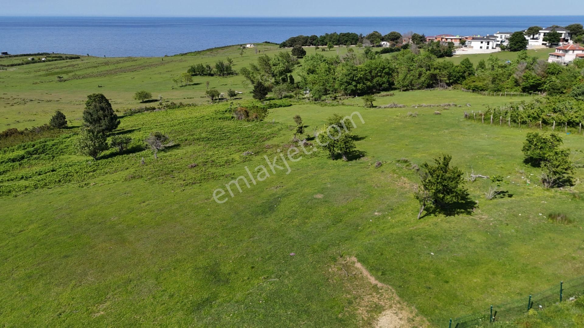 Şile Karacaköy Mah. 980 M2 %30 Villa İmarlı Arsa - Görsel 10