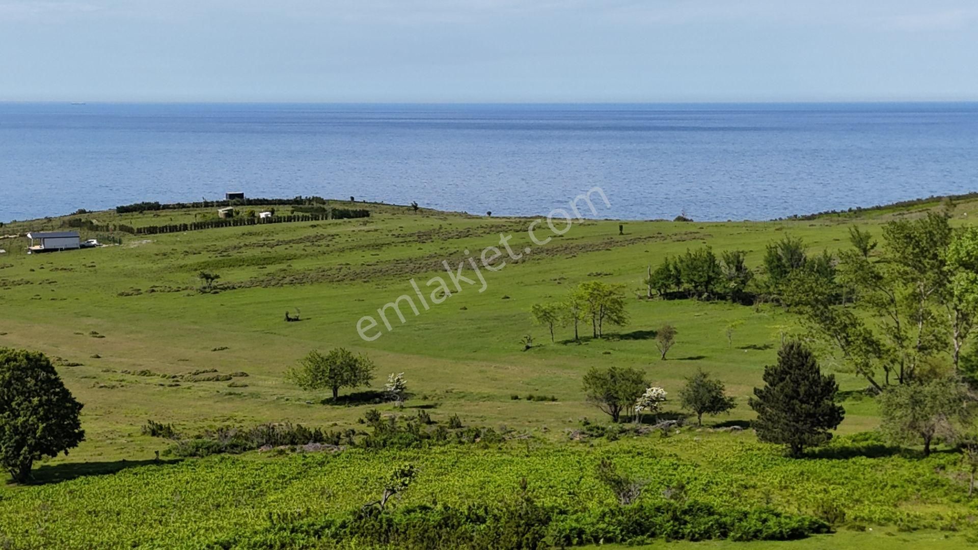 Şile Karacaköy Mah. 980 M2 %30 Villa İmarlı Arsa - Görsel 2