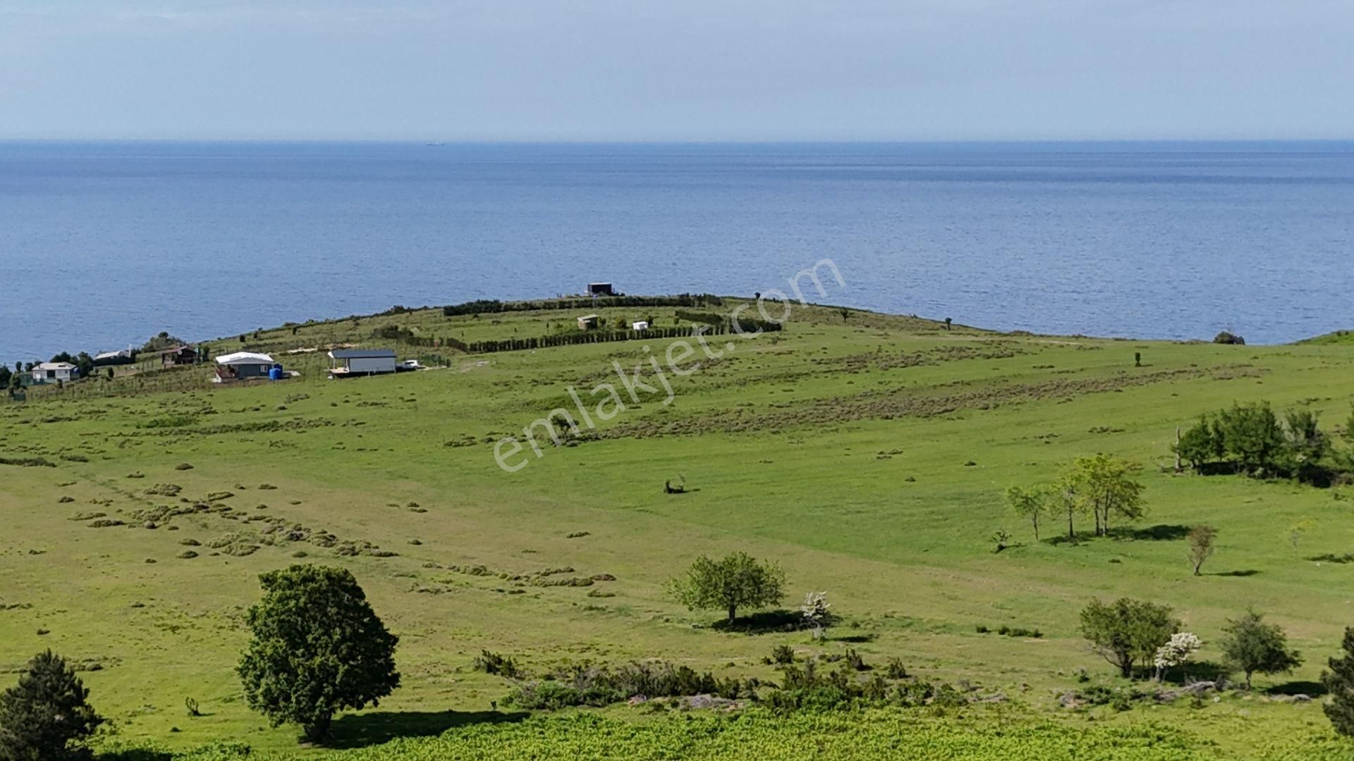 Şile Karacaköy Mah. 980 M2 %30 Villa İmarlı Arsa - Görsel 8