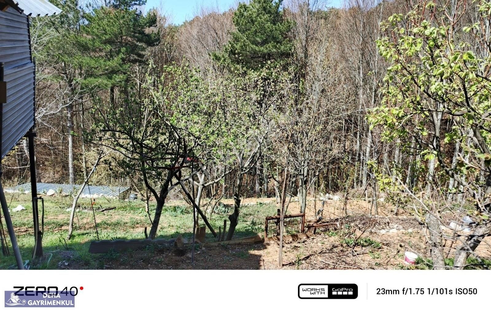 Deha'dan Uludağ Da Muhteşem Manzaralı Bahçeli Ev - Görsel 2