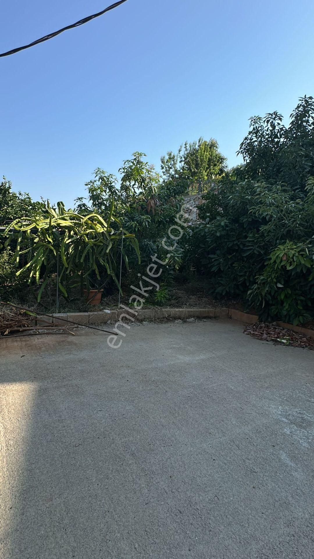 Doğa Ve Deniz Manzaralı Müstakil Tropikal Bahçeli Villa - Görsel 13