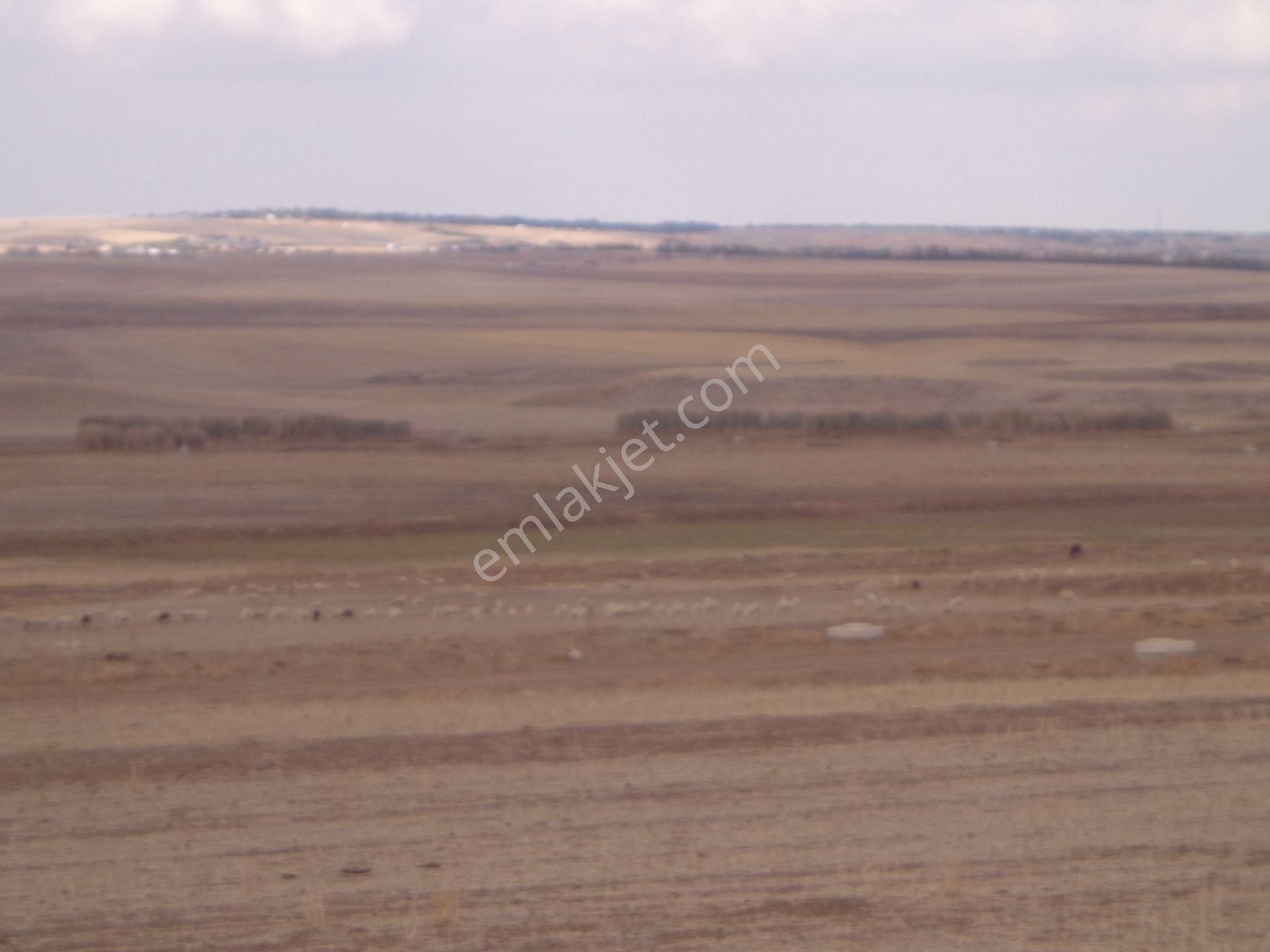 Gölbaşı Karagedik Bilkent Projede 590 M2 - Görsel 15