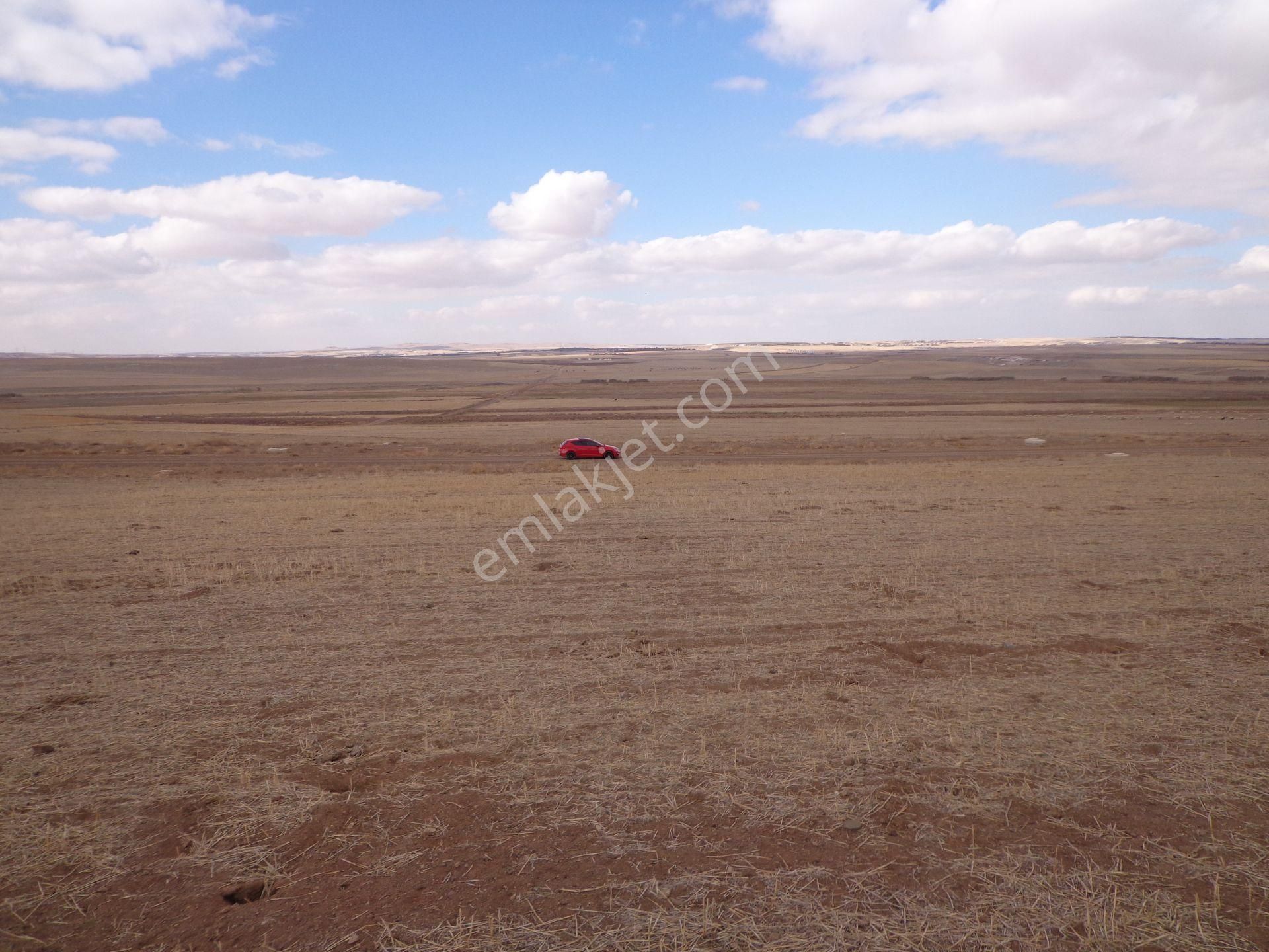 Gölbaşı Karagedik Bilkent Projede 590 M2 - Görsel 18