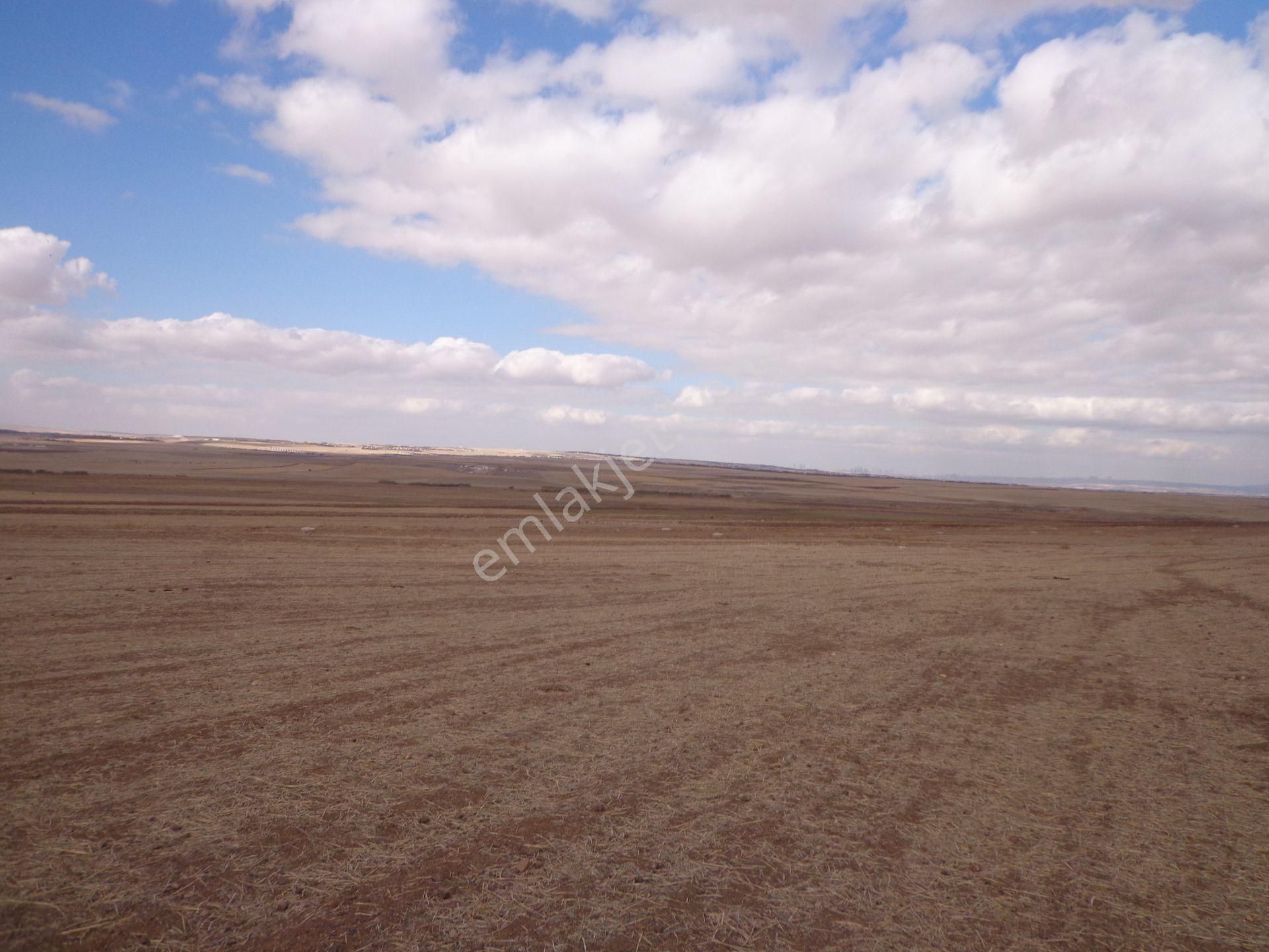 Gölbaşı Karagedik Bilkent Projede 590 M2 - Görsel 12