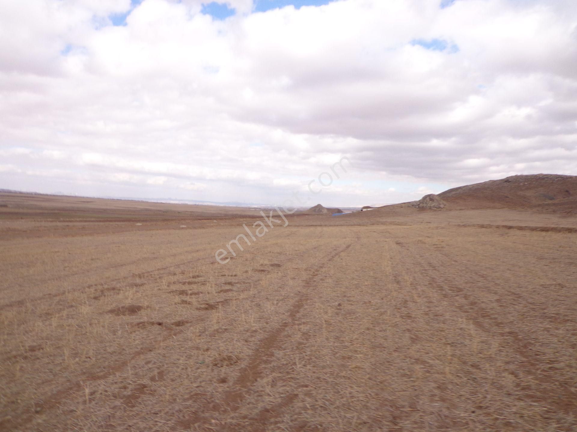 Gölbaşı Karagedik Bilkent Projede 590 M2 - Görsel 21