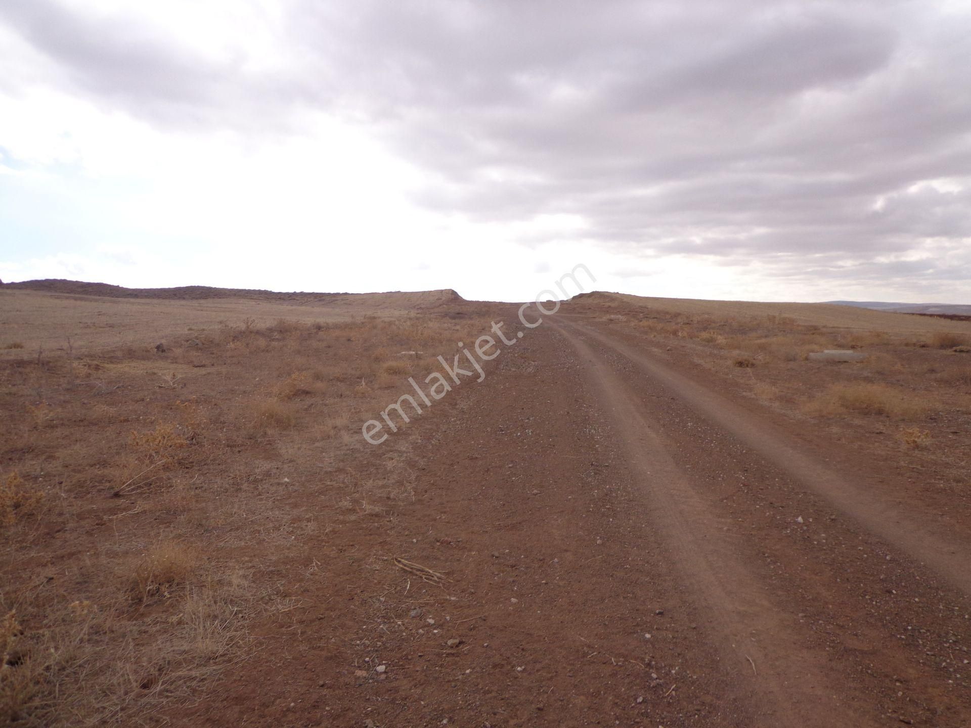 Gölbaşı Karagedik Bilkent Projede 590 M2 - Görsel 23