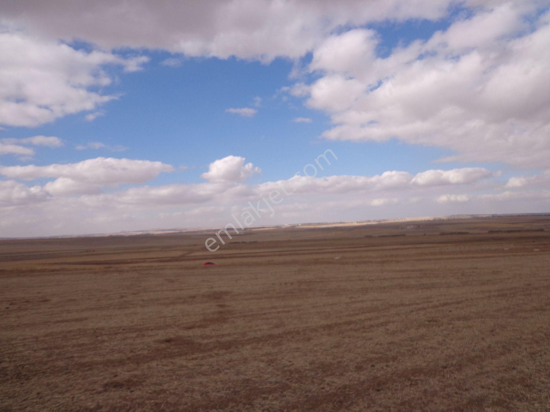 Gölbaşı Karagedik Bilkent Projede 590 M2 - Görsel 11