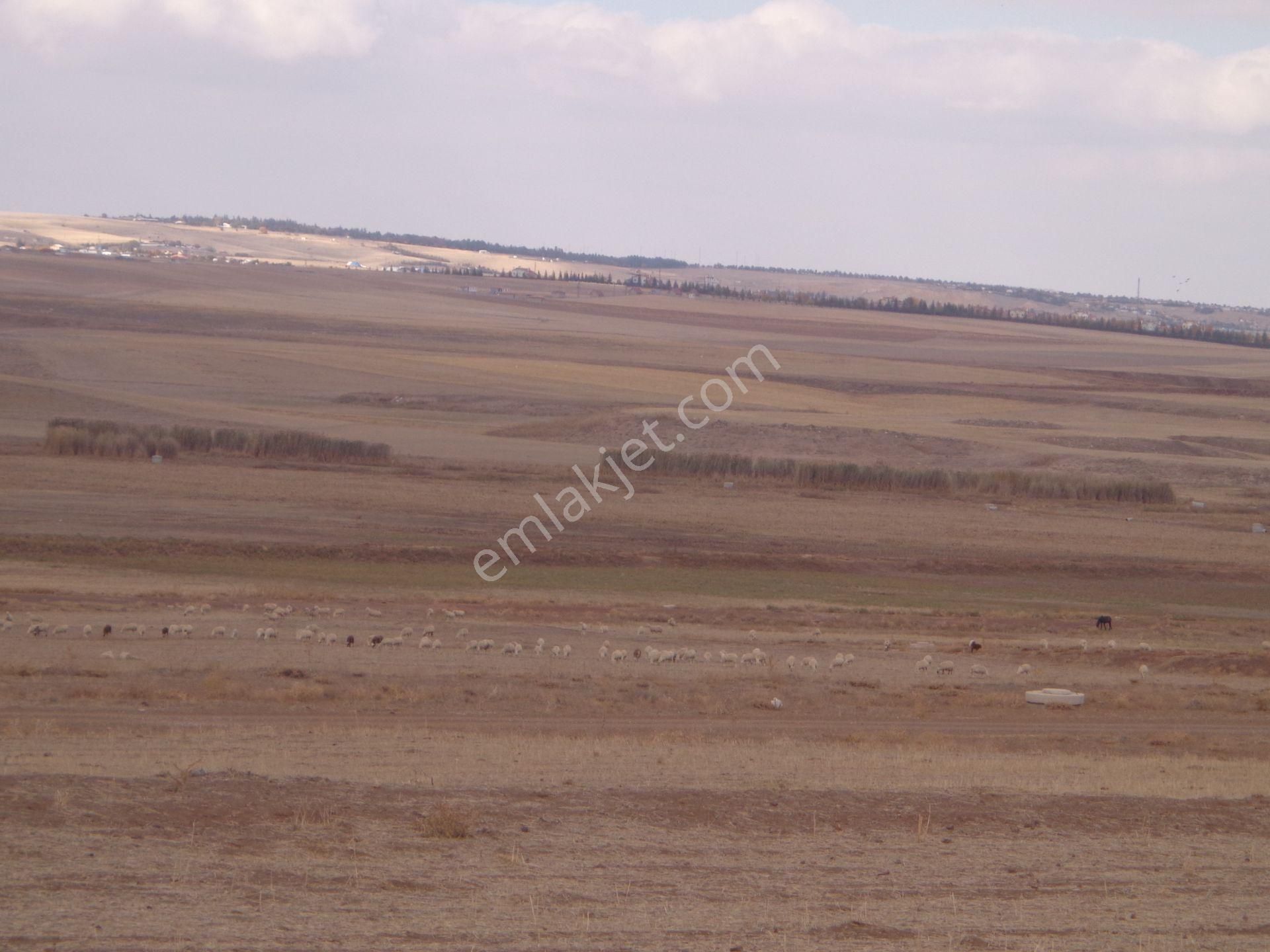 Gölbaşı Karagedik Bilkent Projede 590 M2 - Görsel 17