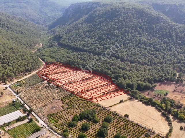 Bal Gayrimenkul - Değirmendere Malta Şelalesi Üzeri Uygun Fiyatlı Bahçe - Görsel 5
