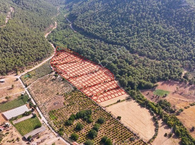 Bal Gayrimenkul - Değirmendere Malta Şelalesi Üzeri Uygun Fiyatlı Bahçe - Görsel 2