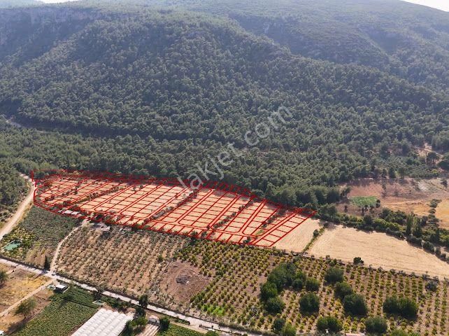 Bal Gayrimenkul - Değirmendere Malta Şelalesi Üzeri Uygun Fiyatlı Bahçe - Görsel 6