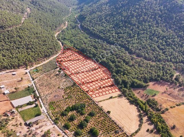 Bal Gayrimenkul - Değirmendere Malta Şelalesi Üzeri Uygun Fiyatlı Bahçe - Görsel 4