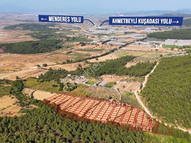 Bal Gayrimenkul - Değirmendere Malta Şelalesi Üzeri Uygun Fiyatlı Bahçe