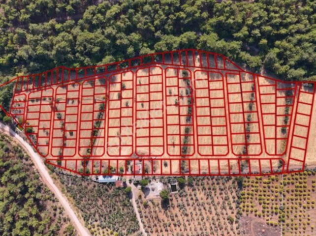 Bal Gayrimenkul - Değirmendere Malta Şelalesi Üzeri Uygun Fiyatlı Bahçe - Görsel 3