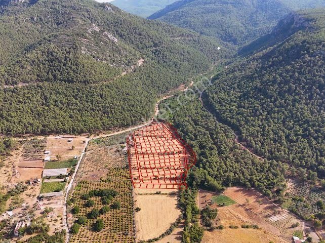 Bal Gayrimenkul - Değirmendere Malta Şelalesi Üzeri Uygun Fiyatlı Bahçe - Görsel 7