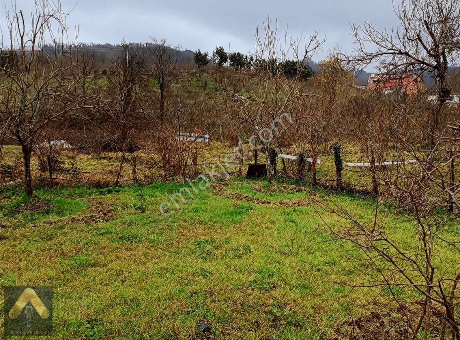 Divan Gayrimenkul Perşembe Çaytepe Mh 165 M2 Satılık Fırsat Arsa