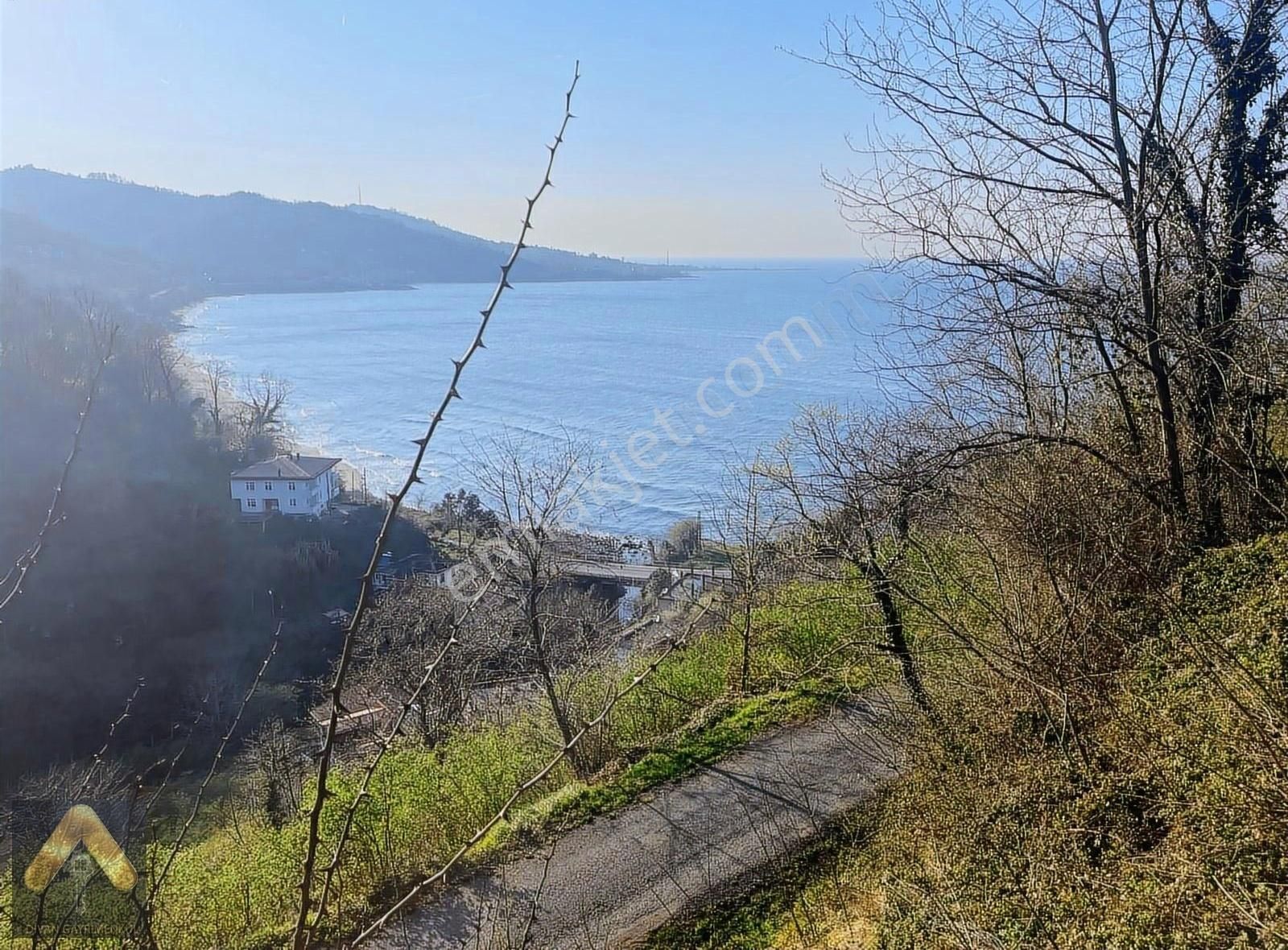 Divan Gayrimenkul Perşembe Ramazan Mah. 2.273m2 Fındık Bahçesi