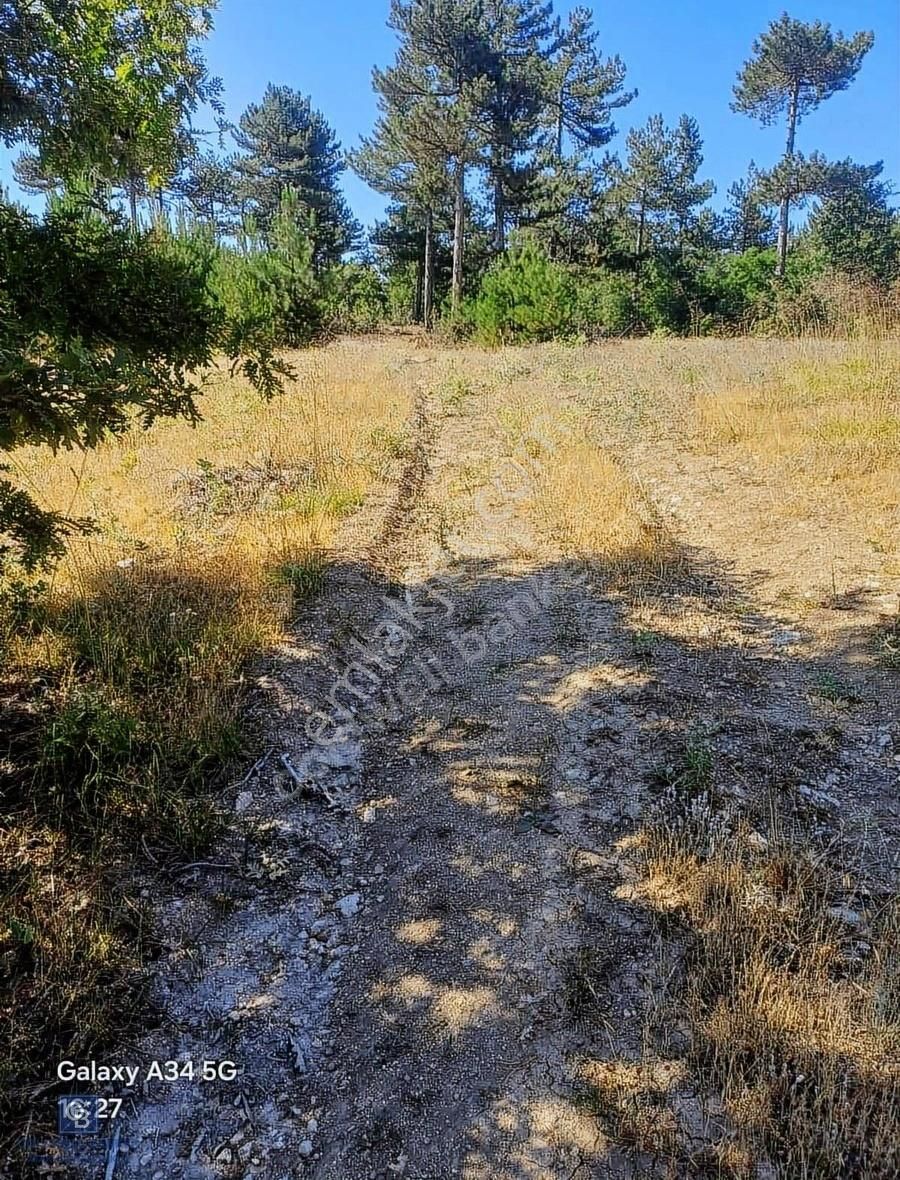 Balıkesir Dursunbeyde Köydibi Düz Arazi